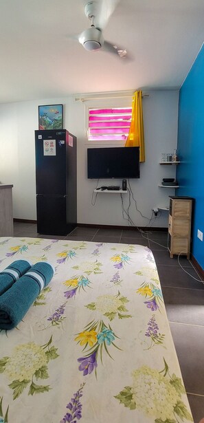 TV and multimedia
