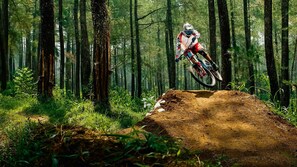 Snowshoe Bike Park