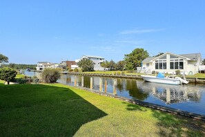Back yard