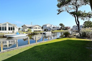 Back yard