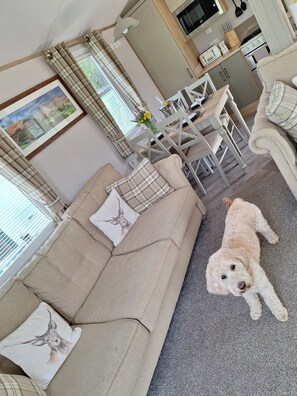 Living Room / Lounge