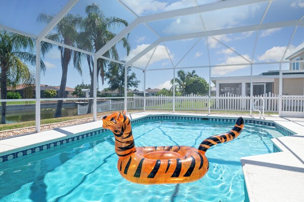 A view of our private pool with our tiger float to play with during the stay!
