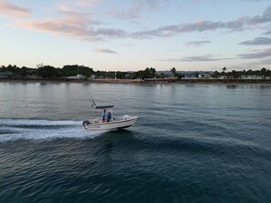 There are multiple fishing and diving charters available. Book in advance.