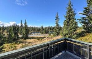 view-from-room
