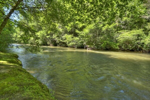 Beautiful Fightingtown Creek