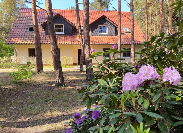 Außenansicht Appartement-Wohnung