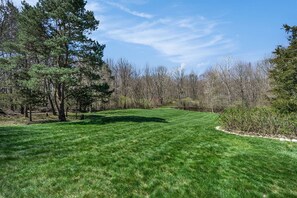 Big beautiful yard for you to enjoy