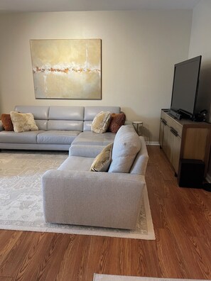 Living Area with TV