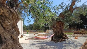 Terrass/Patio