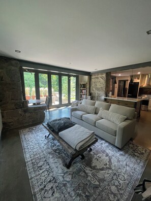 Living room either Queen sized pull out couch.