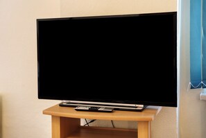 Television