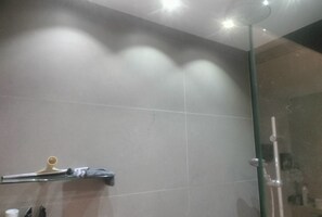Overhead rain shower, plus hand held shower.