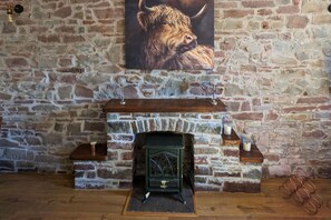 Electric Fireplace