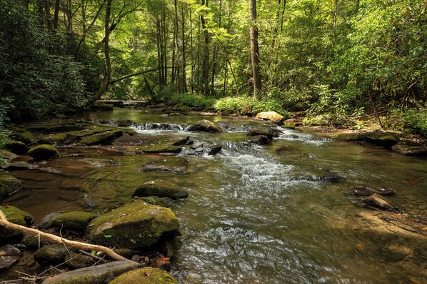 Paradise Found - Fightingtown Creek Frontage