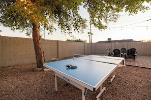 Ping Pong Anyone?