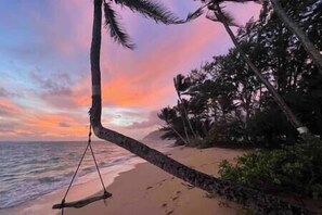 Majestic Ocean Panorama (3)
