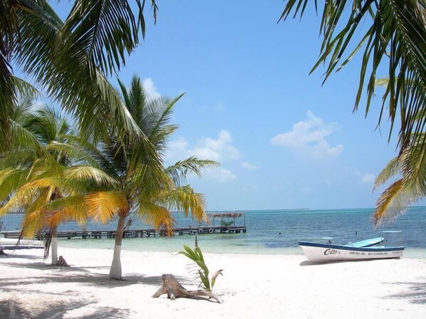 Playa