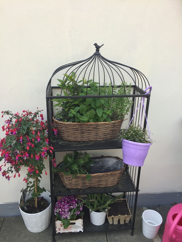 Terrazza/patio