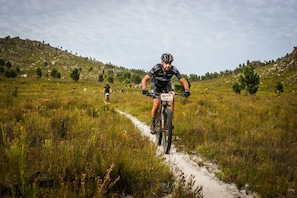 Cykling