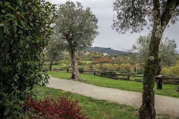 Vista dalla camera