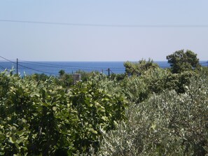 Rum