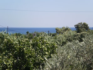 Rum