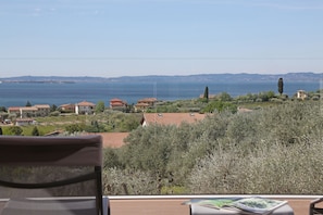 Vista desde la habitación