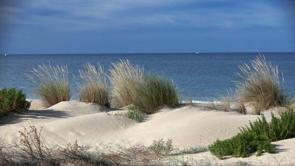 Praia