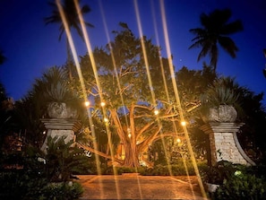  Not far from exciting excursion destinations such as the Rain Forest and Camuy Cave Park