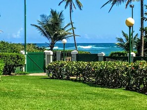 Ocean views from the patio- beach is step away!