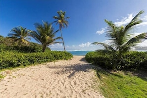 Secluded white sandy beach adjacent to a Hyatt resort beach