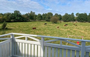 view-from-room