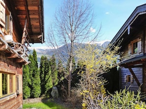 Trädgård