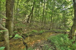 Beautiful little creek that runs along the property