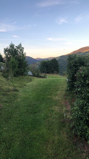 Property grounds