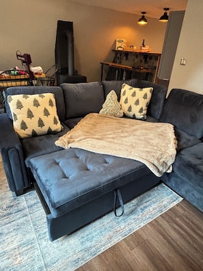 Pull-out couch sleeps 1 additional person. Extra pillows & blankets provided