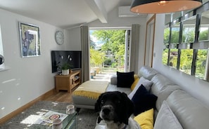 Bifolds open to the patio (Alfie not included) !