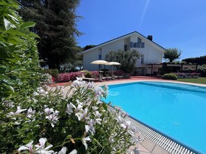 Water, Plant, Flower, Property, Building, Sky, Swimming Pool, Tree, Chair, House