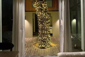 Night time view of the lit pecan tree centerpiece