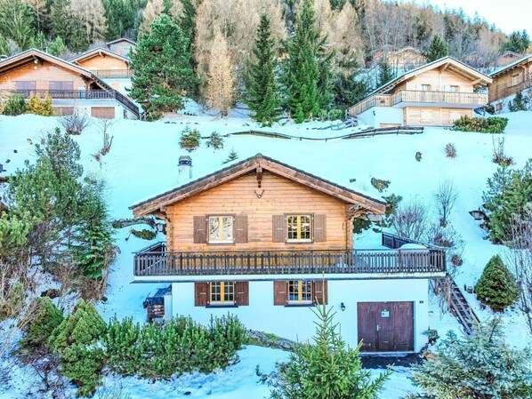 Gebäude, Schnee, Eigentum, Fenster, Grün, Natur, Baum, Haus, Natürliche Landschaft, Pflanze