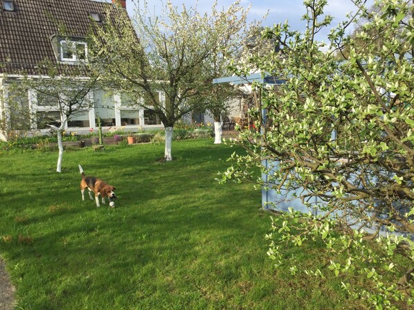 Boendeområde