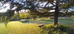 Property grounds