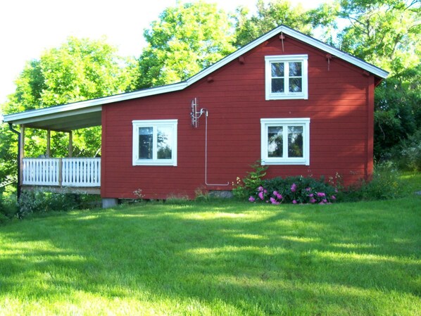 Exteriör