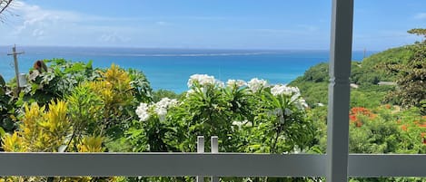Patio with stunning views of Dickenson Bay beach