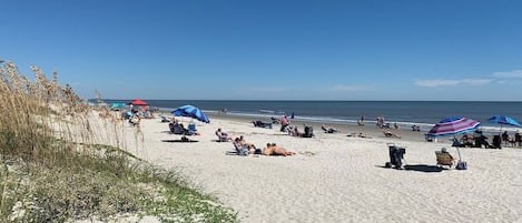 Folly Field Beach