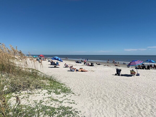 Folly Field Beach