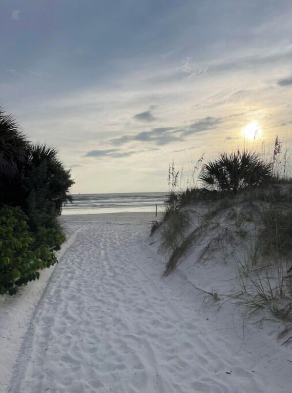 Strand
