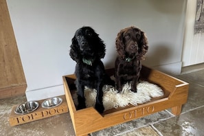 Pet-friendly