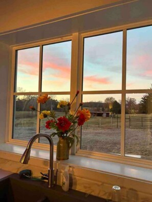 View from property