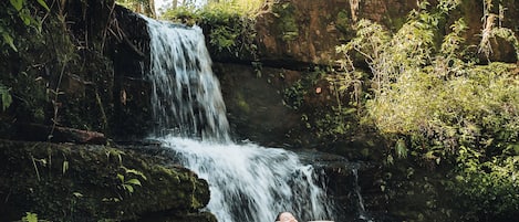 Naturpool